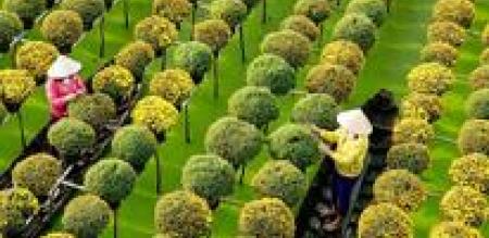 Trực tiếp tổ chức thi hành án Trực tiếp tổ chức thi hành án